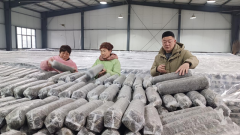 <b>副继伟深切驻马店市沉点工业企业</b>